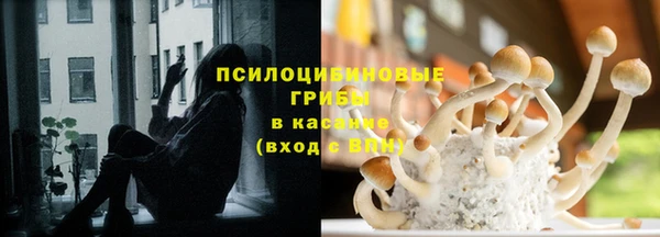 крисы Абаза