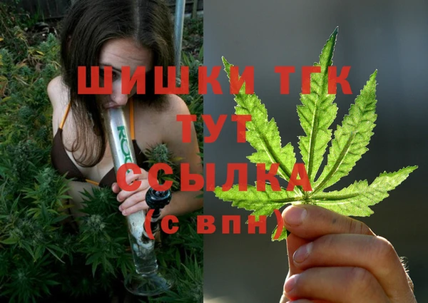 крисы Абаза