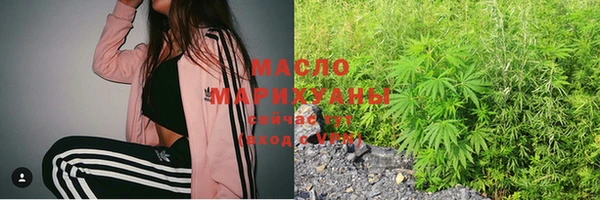 крисы Абаза