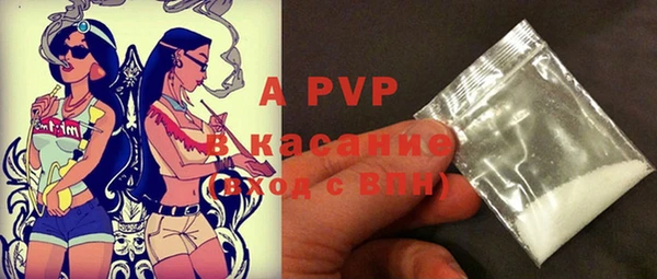 крисы Абаза