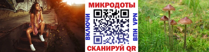 Псилоцибиновые грибы GOLDEN TEACHER Новотитаровская