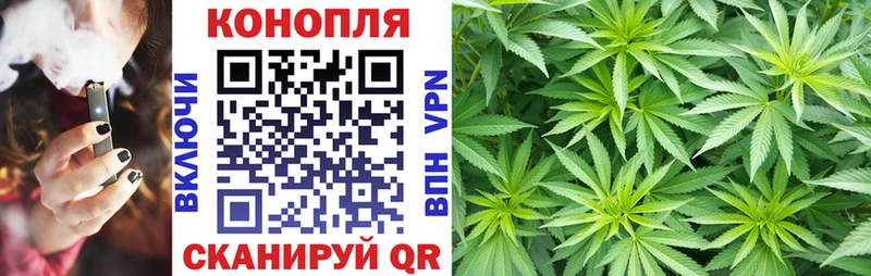 Конопля план купить Новотитаровская